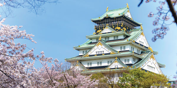 Beauty of Japan Tours, couples and flights holiday experience