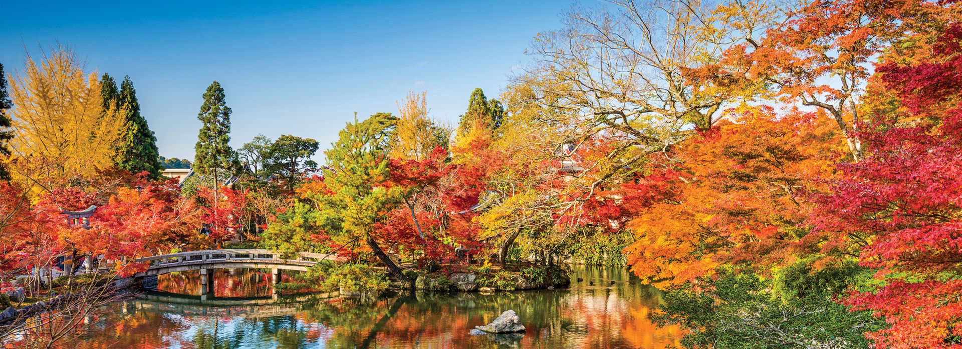 Travelling in Japan