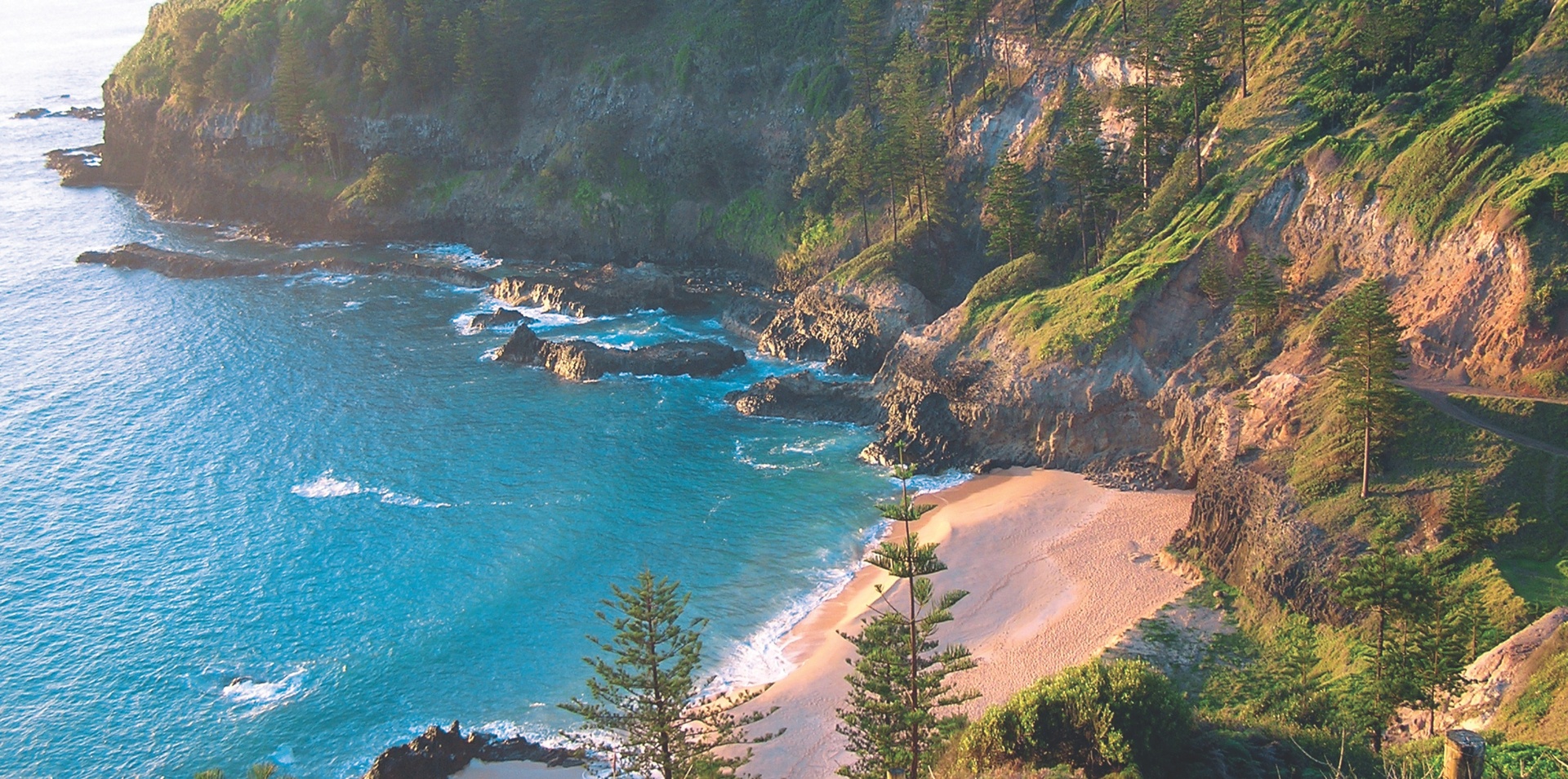 Norfolk Island Discovery